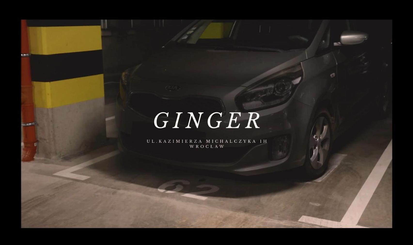 Ginger - Stare - Bezplatny Parking - Youtube Ginger We Wroclawiu Wroclaw